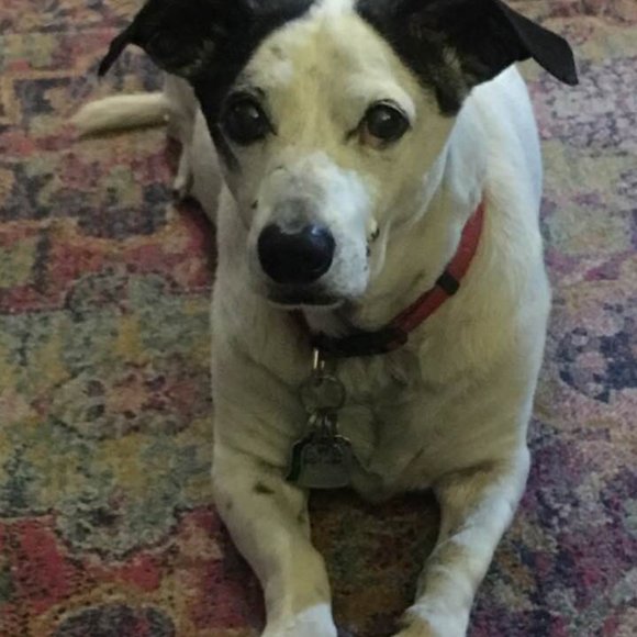 Meet Your Posher CP - Picture 3 of 16